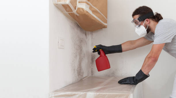 Professional Basement Mold Remediation technician working in Warriors Mark, PA