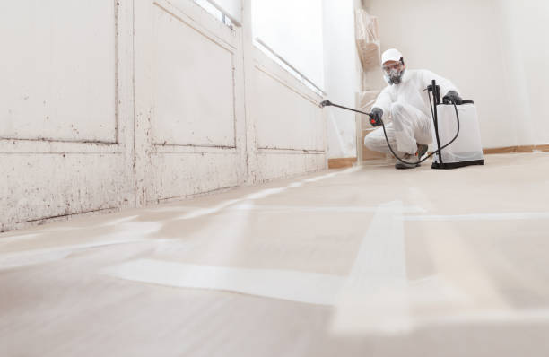 24/7 Emergency Basement Mold Remediation experts in Warriors Mark, PA